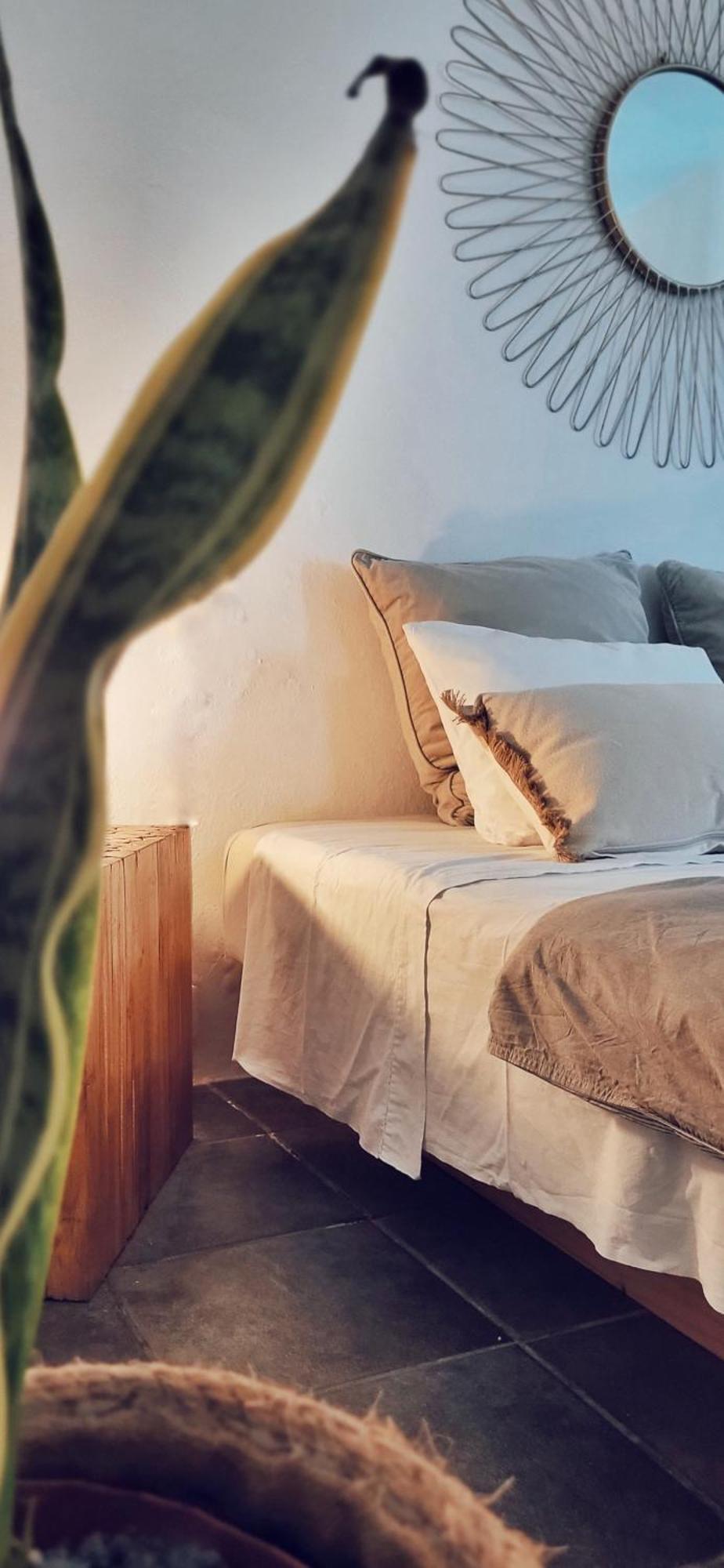 B&B La Mimosa Teguise  Exteriér fotografie