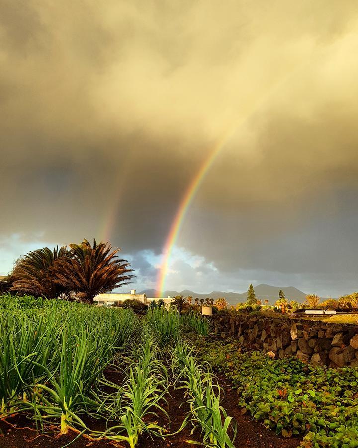 B&B La Mimosa Teguise  Exteriér fotografie
